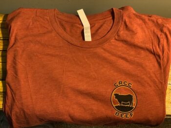 Brown T Shirt