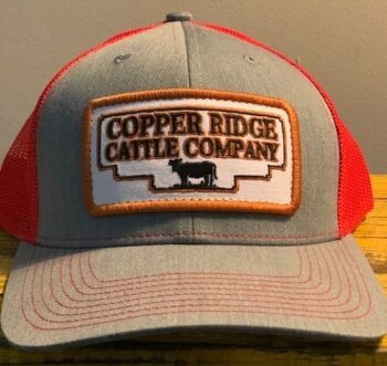 Red and Grey Hat