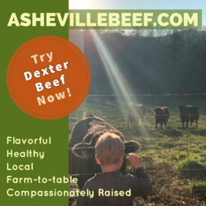 Try Dexter Beef Now!